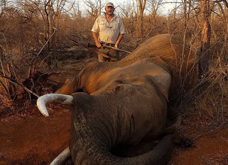 Caçador de animais selvagens é morto a tiros na África do Sul