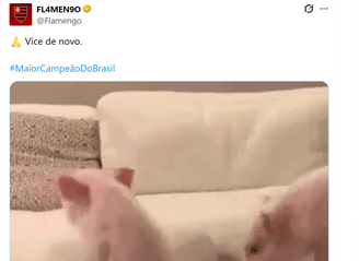 'Vice de novo': Flamengo zoa Palmeiras após conquista antecipada do Brasileirão