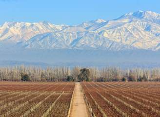 Vinhas da Catena Zapata são emolduradas pelas montanhas de Mendoza.