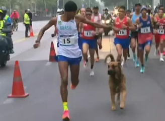 Cachorro invade maratona dos Jogos Pan-Americanos e corre ao lado de brasileiro