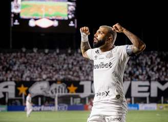 Santos vem de vitória na Copa Sul-Americana –