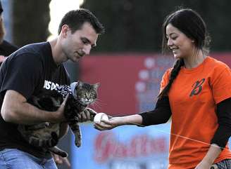 Gata heroína participa de jogo de beisebol na Califórnia