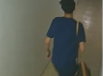 Adolescente é suspeito de furtar apartamento em prédio de luxo no Rio de Janeiro