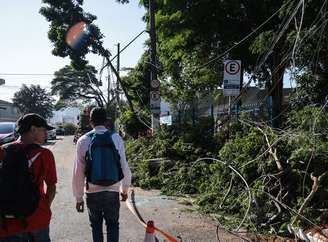 Queda de árvore na Rua Ministro Roberto Cardoso com a Rua Padre José de Anchieta em Santo Amaro
