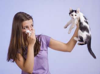 <p>Ao contrário do que se diz, não são os pelos os responsáveis pelas alergias e sim uma proteína presente no corpo (saliva e pele) dos gatos</p>
