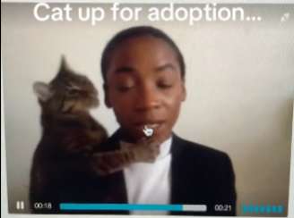 Jovem é surpreendida por gato enquanto grava vídeo para entrevista de emprego