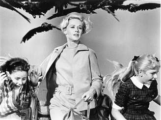 'Os Pássaros', de 1963, foi dirigido pelo mestre do suspense Alfred Hitchcock