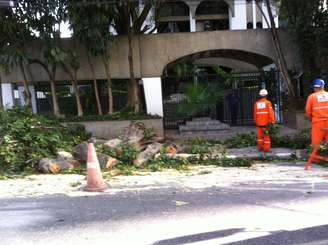 Prefeitura removeu a árvore do local e via foi liberada quase três horas depois