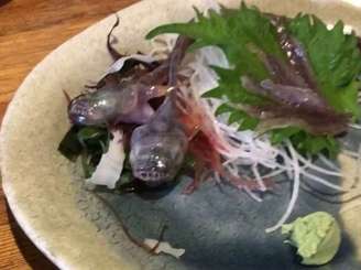 Peixe foi servido vivo em restaurante japonês