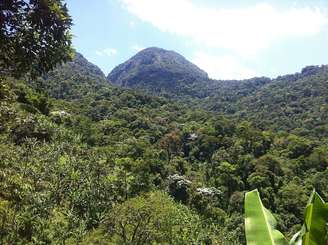 O município abriga parte do Parque Estadual dos Três Picos, uma das maiores áreas contínuas de mata atlântica do estado do Rio de Janeiro – Wikimedia Commons/TMbux