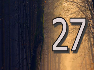 No meio musical, o número 27 é considerado maldito. Uma pesquisa na internet mostra que pelo menos 56 artistas - cantores ou instrumentistas - morreram aos 27 anos.