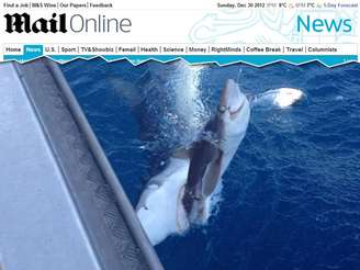 A foto de um tubarão devorando outro chamou a atenção de internautas do site Reddit