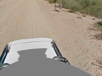 O Google divulgou imagens brutas do mapeamento no local para provar que não atropelou o burro