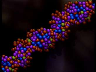Células de câncer no intestino sofreram o "estresse de replicação de DNA"