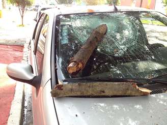 Galho de árvore quebrou para-brisa de carro na zona oeste de São Paulo