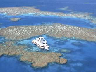 A Grande Barreira de Corais, que está lista de patrimônio mundial da Unesco desde 1981, perdeu mais da metade dos corais nos últimos 27 anos