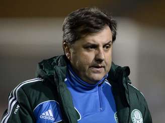 <p>Gilson Kleina preteriu André Luiz no Palmeiras</p>
