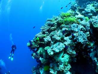 A Grande Barreira de Corais atrai turistas de todos os lugares do mundo. Está composta por mais de 2.900 recifes e fica localizada próxima a cidade de Cairns