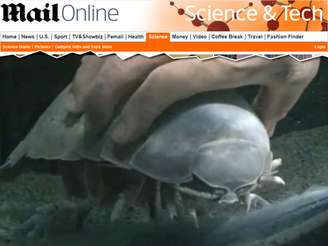 Havia cinco anos que o isótopo encontrado morto em Toba não se alimentava