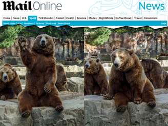 <p>Quanto mais o público interagia com os ursos, mais os animais acenavam para os visitantes</p>