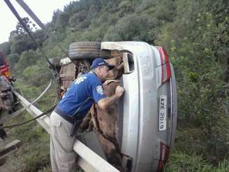 PRF encontrou quase 300 quilos de maconha no interior de veículo roubado que sofreu acidente no final de semana