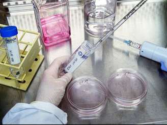 <p>Apartamento da funcionária passará por um longo processo para ser descontaminado</p>