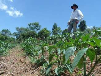 Segundo o presidente da Federação dos Trabalhadores de Agricultura Familiar do estado de São Paulo, a falta de chuvas deve fazer com que frutas e vegetais fiquem mais caros nos próximos meses