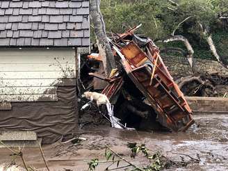 Cão farejador busca por vítimas em casa danificada por deslizamentos na Califórnia 09/01/2018  Mike Eliason/Corpo de Bombeiros de Santa Barbara/Divulgação via REUTERS