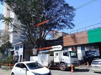 Intantes antes da realização de poda indevida na Rua Coriolano, entre as Ruas Vespasiano e Espártaco