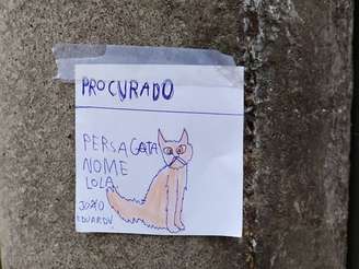 Desenho da gata Lola que João Eduardo fez e espalhou por bairro de Blumenau para encontrar a felina que fugiu de casa.