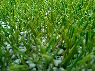 Borracha que preenche o gramado é apontado como um dos grandes diferenciais do campo do Allianz (Divulgação)