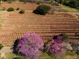 Brasil registra 552 mortes por coronavírus em 24 horas