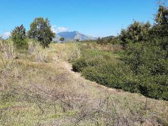 Pista de mountain bike será reativada após cinco anos abandonada (Foto: Divulgação)