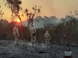 Bombeiros mobilizam contingente e aviões no combate aos incêndios no Pantanal, em Mato Grosso do Sul. Depois do controle das chamas, os bombeiros fazem o rescaldo e buscam animais atingidos pelo fogo