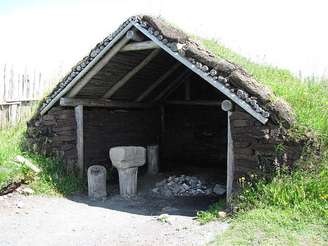 Madeiras foram retiradas de antiga vila viking no Canadá