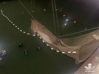 Operação para tirar a baleia do rio Sena durou por volta de seis horas