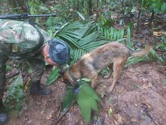 Resgate foi realizado por militares na Colômbia