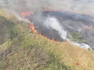 Fogo atinge área rural em Monte Alto, no interior de São Paulo