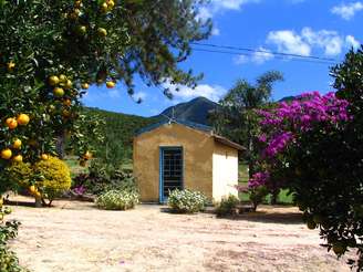 O Vale do Ouro Verde é um cafezal em Serra Negra que recebe visitantes mediante agendamento