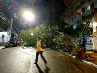 Árvore e galhos caídos na Rua Maria Figueiredo, no Paraíso, após vendaval e chuva forte na tarde de sexta-feira.