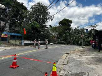 Queda de árvores e galhos na rede elétrica interrompeu o fornecimento de energia para milhares de clientes em São Paulo