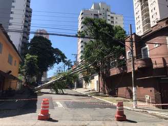 Árvore caída, devido ao temporal da última sexta-feira, 3, na Rua Marambaia, no bairro da Casa Verde, na zona norte da cidade de São Paulo.