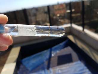 Larvas do mosquito Aedes aegypti encontradas em piscina suja