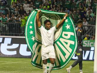 Endrick, do Palmeiras, comemora seu gol abrindo o placar diante do Novorizontino.