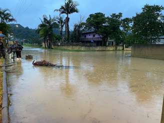 Ruas de Rio do Sul (SC) ficaram alagadas devido às chuvas