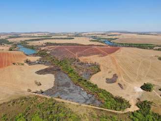 Incêndios em Goiás deixaram áreas devastadas