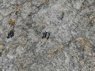 Incêndios em Goiás deixaram áreas devastadas