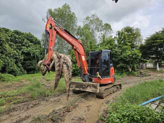 Criador abateu 125 crocodilos na Tailândia