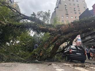 Árvore de grande porte cai sobre a Rua da Consolação com a Alameda Itu, e danifica carro e fiação elétrica