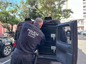 Mulher é espancada na frente da filha após fofoca motivada por ciúme e morre horas depois no PR